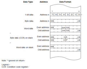 data format in R5F64114DFB#U0 memory